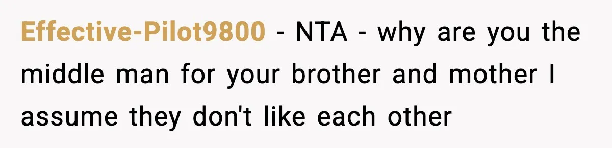 Mom Called To Vent About Her Daughter-In-Law, Then Blamed Her Daughter For Repeating It Effective-Pilot9800 − NTA - why are you the middle man for your brother and mother I assume they don't like each other