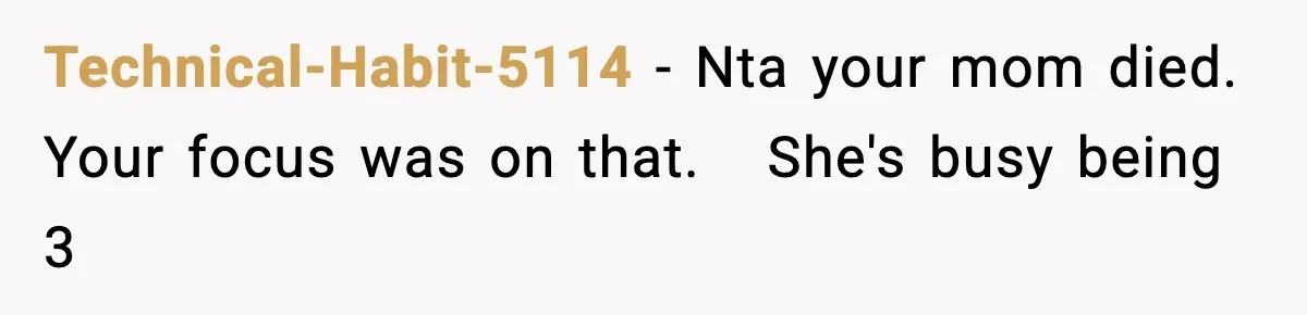 Daughter Ignored Every Message, Then Blamed Dad For Missing Grandma’s Funeral Technical-Habit-5114 − Nta your mom died. Your focus was on that. She's busy being 3