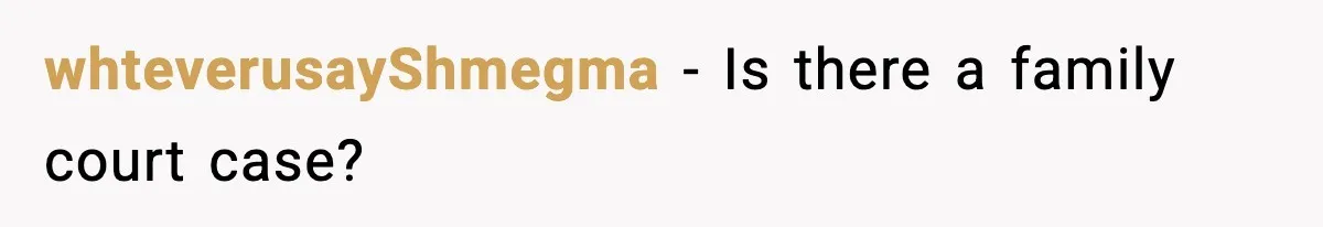 Teen Tries To Leave After Parents Threaten To Kick Her Out, Then Gets Blamed For “Causing Drama” whteverusayShmegma − Is there a family court case?