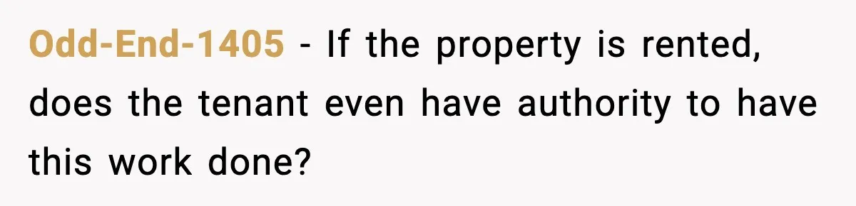 Homeowner Refuses to Let Neighbour Dig Up Driveway for EV Charger, Cites Recent Renovations Odd-End-1405 − If the property is rented, does the tenant even have authority to have this work done?
