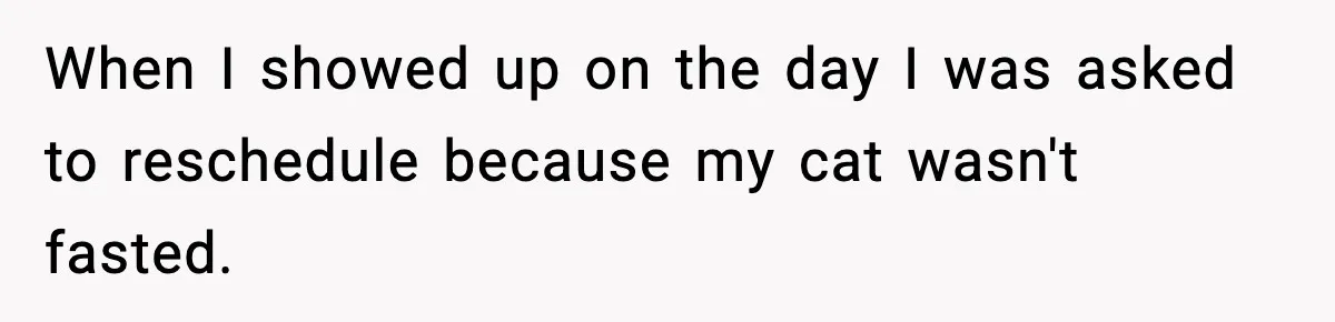 Vet Receptionist Blames the Doctor for Every Mistake, Now One Cat Owner Wants the Truth to Come Out When I showed up on the day I was asked to reschedule because my cat wasn't fasted.