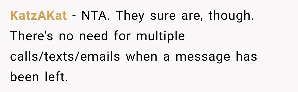 KatzAKat − NTA. They sure are, though. There's no need for multiple calls/texts/emails when a message has been left.