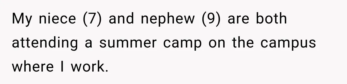 Woman Lied To Summer Camp Kids To Get Extra Dessert For Her Niece, Was She Wrong? My niece (7) and nephew (9) are both attending a summer camp on the campus where I work.
