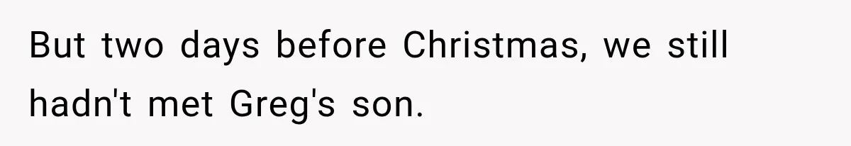 But two days before Christmas, we still hadn't met Greg's son.
