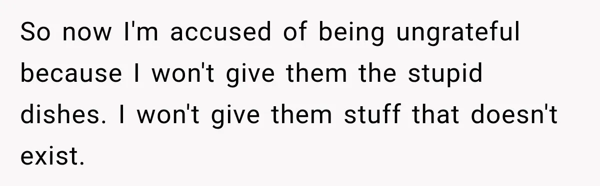Woman Cared For Her Mother Until The End, Now Relatives Call Her A Hoarder So now I'm accused of being ungrateful because I won't give them the stupid dishes. I won't give them stuff that doesn't exist.