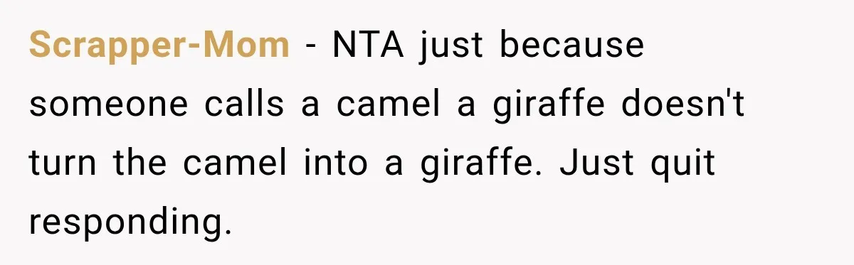 Woman Cared For Her Mother Until The End, Now Relatives Call Her A Hoarder Scrapper-Mom − NTA just because someone calls a camel a giraffe doesn't turn the camel into a giraffe. Just quit responding.