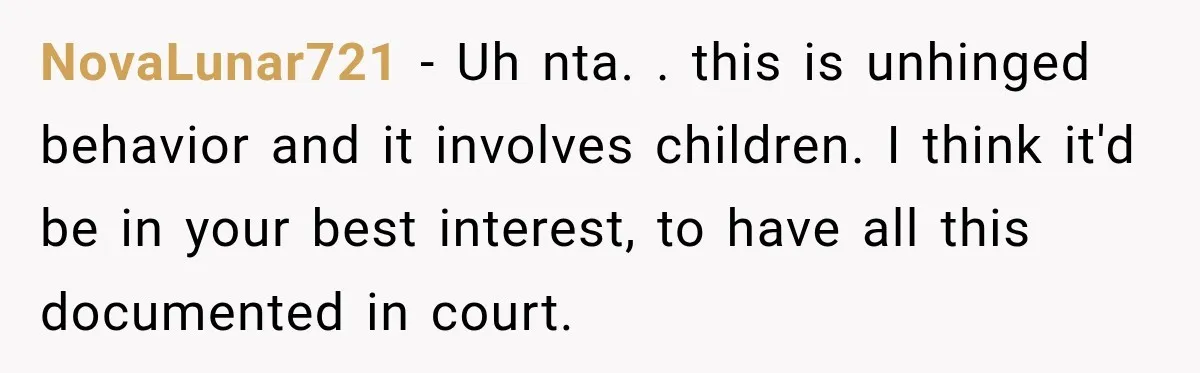 NovaLunar721 − Uh nta. . this is unhinged behavior and it involves children. I think it'd be in your best interest, to have all this documented in court.