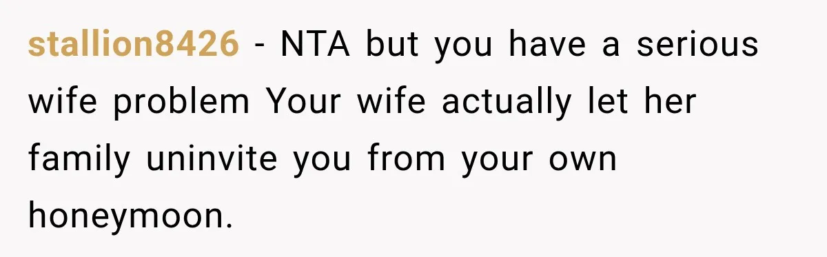 After Years Of Abuse And Manipulation, Husband Draws Line With Wife’s Aggressive Relatives stallion8426 − NTA but you have a serious wife problem Your wife actually let her family uninvite you from your own honeymoon.