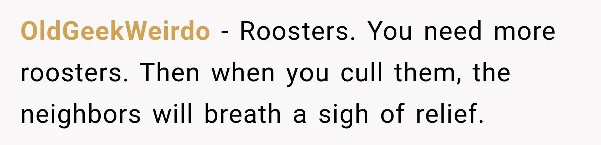 They Legally Do Everything Zoning Allows, Yet Three Of Four Neighbors Are Furious OldGeekWeirdo − Roosters. You need more roosters. Then when you cull them, the neighbors will breath a sigh of relief.