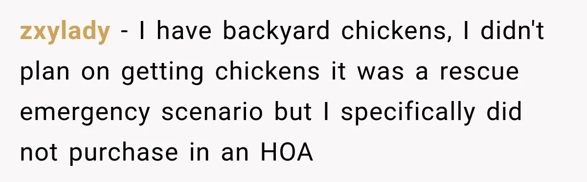 They Legally Do Everything Zoning Allows, Yet Three Of Four Neighbors Are Furious zxylady − I have backyard chickens, I didn't plan on getting chickens it was a rescue emergency scenario but I specifically did not purchase in an HOA