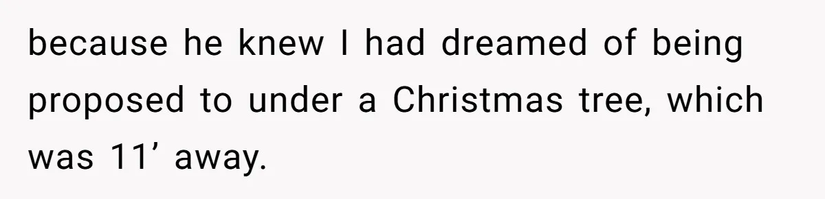 She Returned His Engagement Ring Because The Hotel Wasn’t Romantic Enough, He Wonders If Love Really Matters because he knew I had dreamed of being proposed to under a Christmas tree, which was 11’ away.