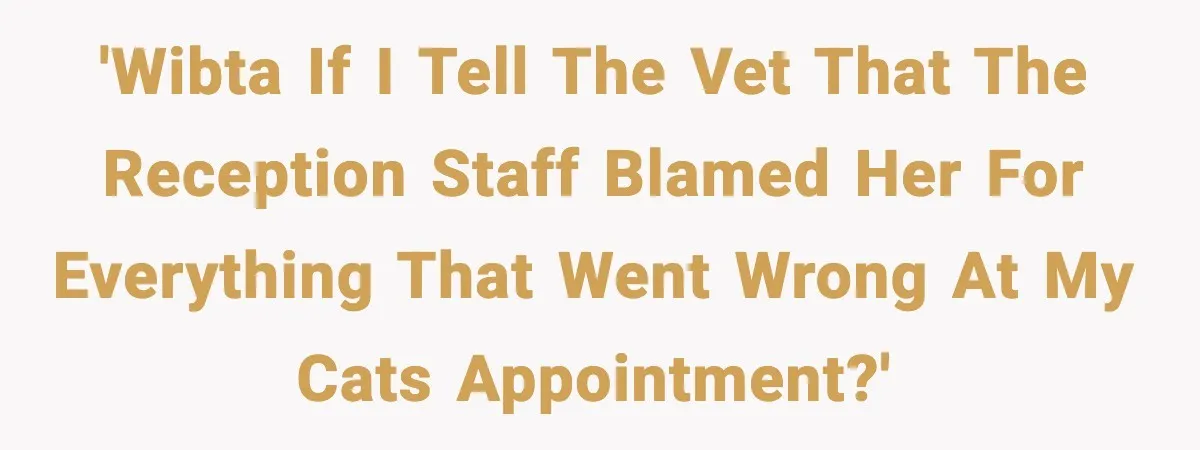 Vet Receptionist Blames the Doctor for Every Mistake, Now One Cat Owner Wants the Truth to Come Out 'WIBTA if I tell the vet that the reception staff blamed her for everything that went wrong at my cats appointment?'